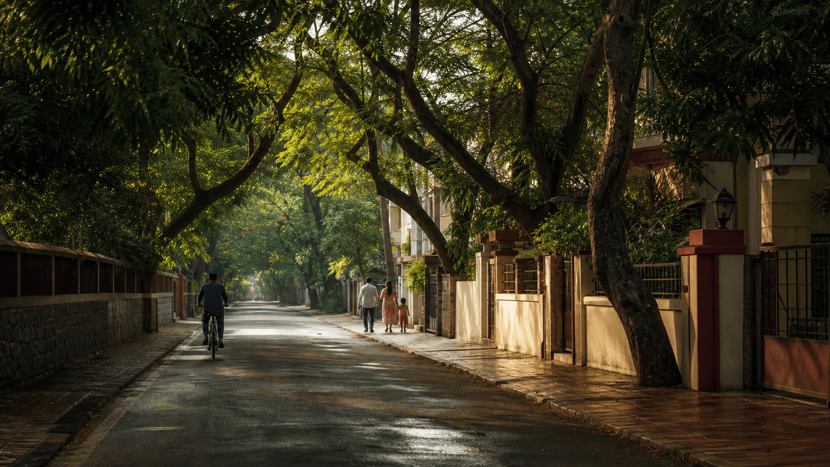 Tree-lined residential street in Patwardhan Baug